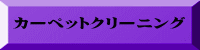 カーペットクリーニング